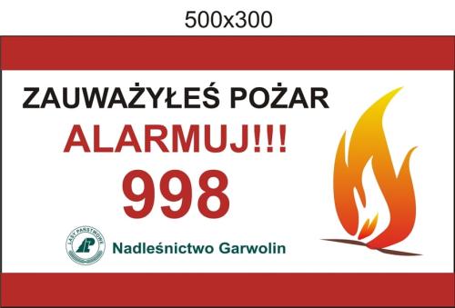 Zauważyłeś pożar.jpg